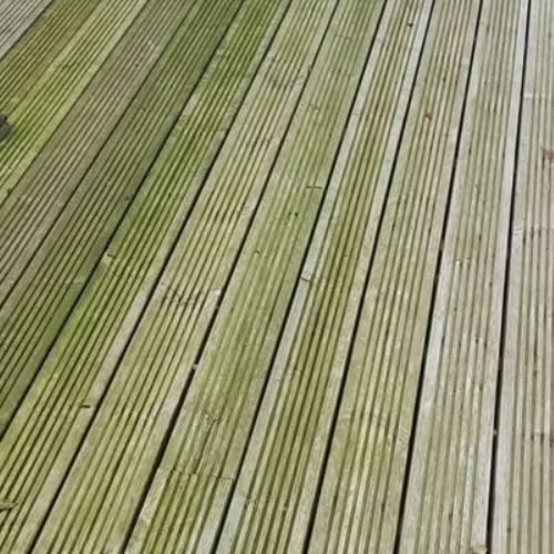 Green Mouldy Decking